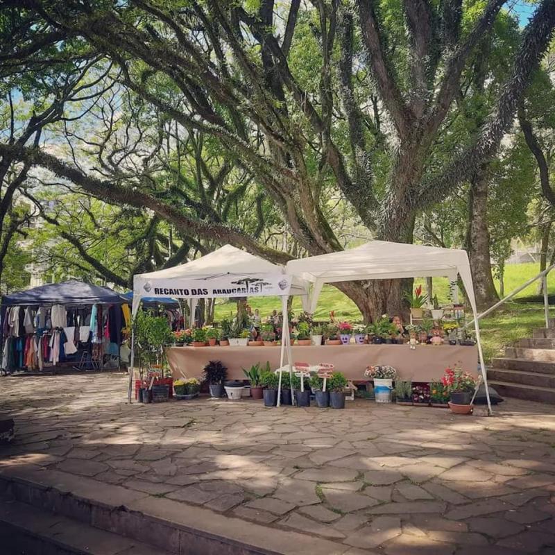 Hoje! Edição de Novembro do Brique da Praça em Bento.