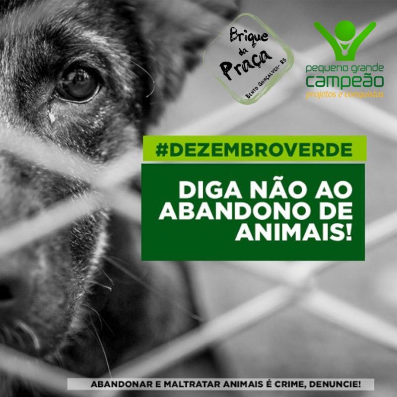 Dezembro Verde