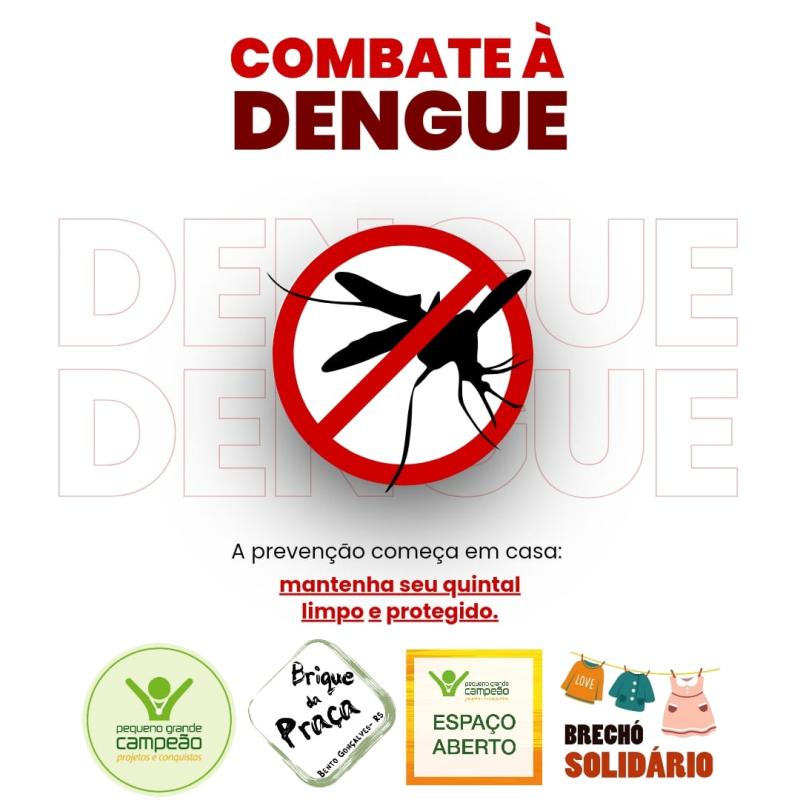 Combate à Dengue
